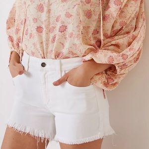 Anthropologie Joe's Jeans The Ozzie Shorts